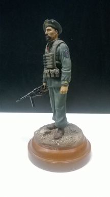 Delphis Models: Nuotatore Para X MAS 120 mm